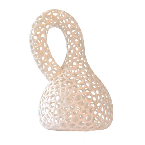 Klein Bottle