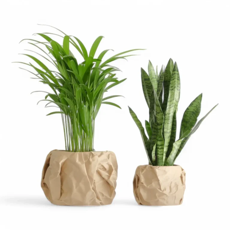 Fromml Serie - Plantenpot