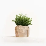 Fromml Serie - Plantenpot