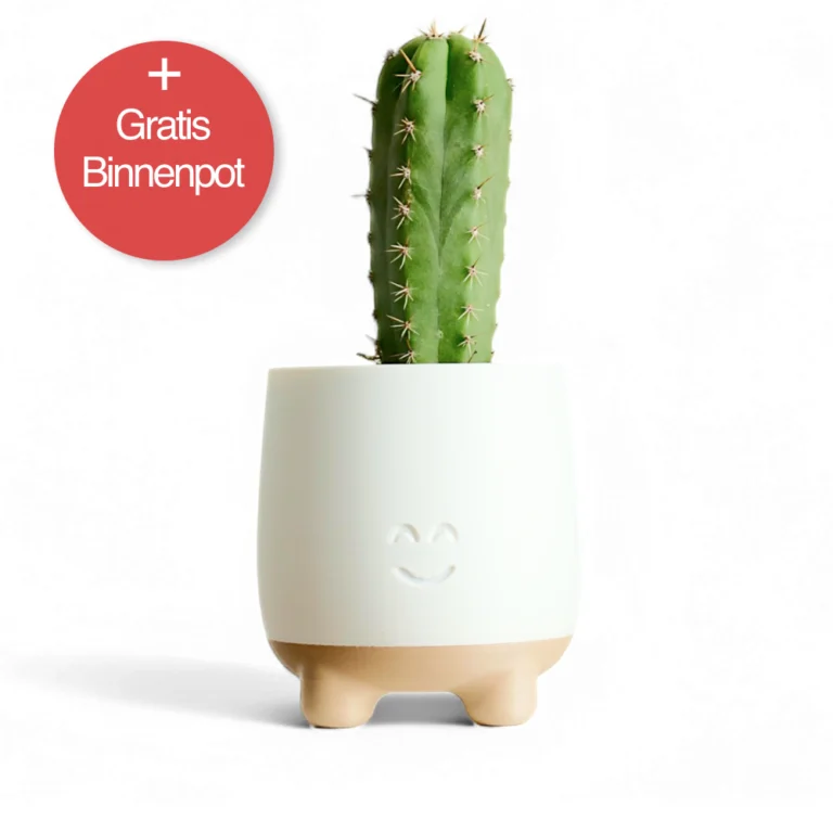 STOMPERTJE Plantenpot + Gratis Zelfwaterende Binnenpot